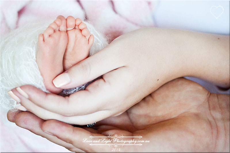Sunshine Coast Newborn Photographer