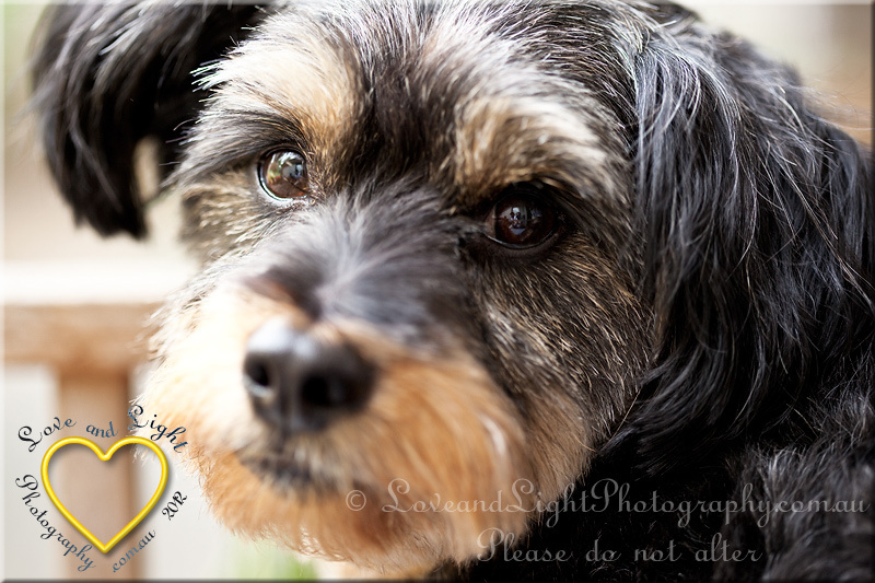 MG_1622smc